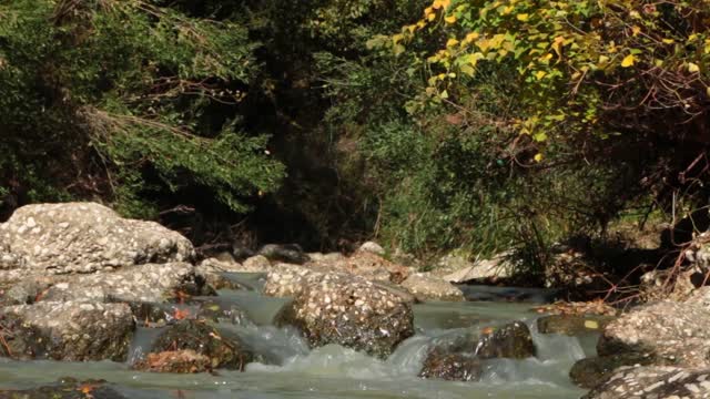 Creek water stream