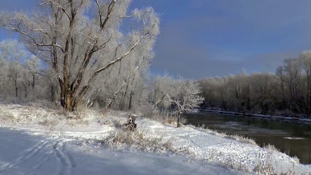 Siberia winter frost