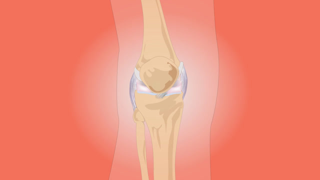 Knee anatomy pain