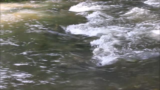 Flow water river course