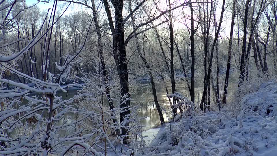 Winter beach river