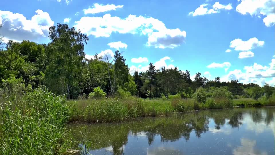 Lake clouds summer