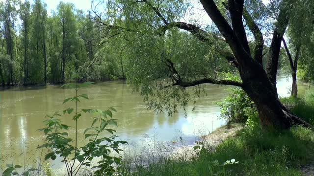 River flow summer
