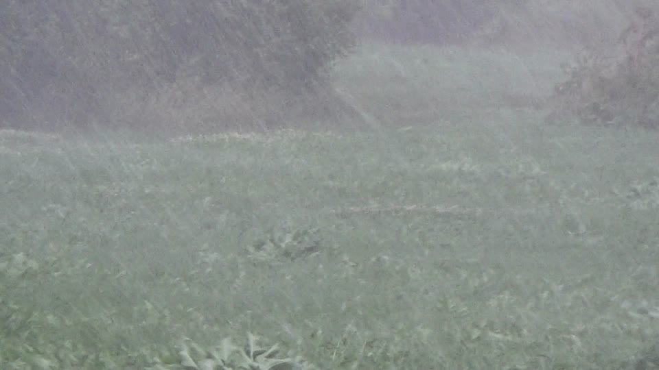 Rain thunderstorm shower