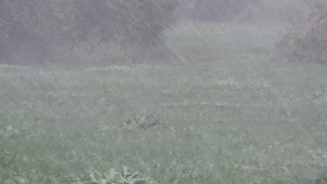 Rain thunderstorm shower