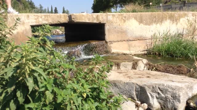 River bridge sport