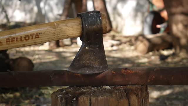 Axe yard wood
