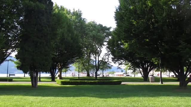 Tree park people