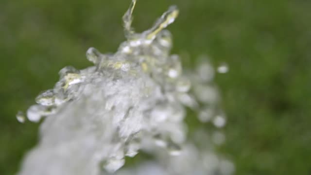 Water tap water dispenser