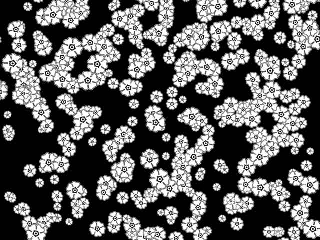 Flowers background daisies