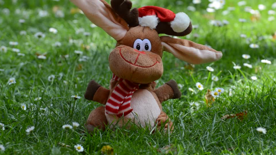 Reindeer christmas moose