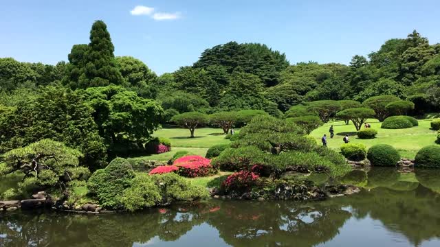 Park lake leisure