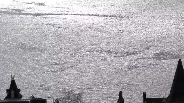 Sea shore calm