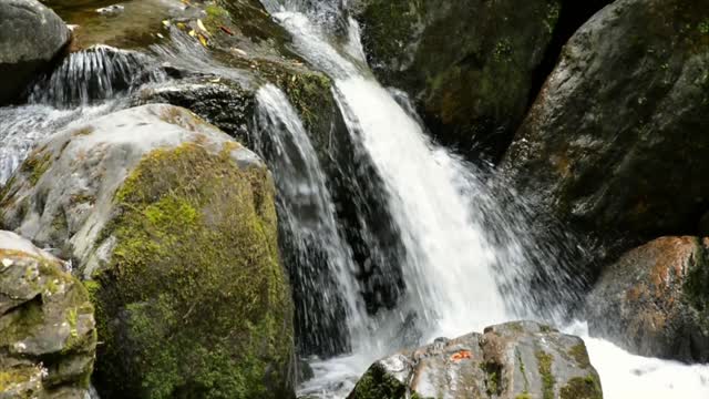 Waterfall ireland national park