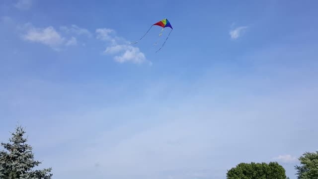 Kite summer lake