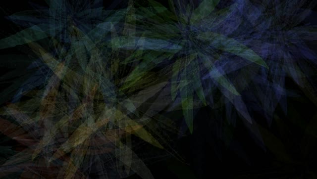 Flower blossoms abstract