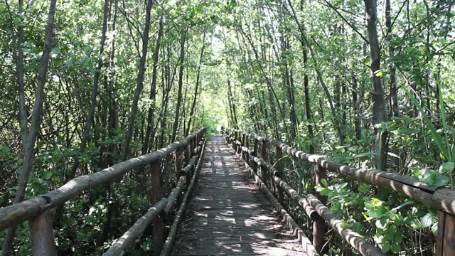 Walkway bridge ride