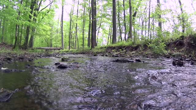 Creek stream water