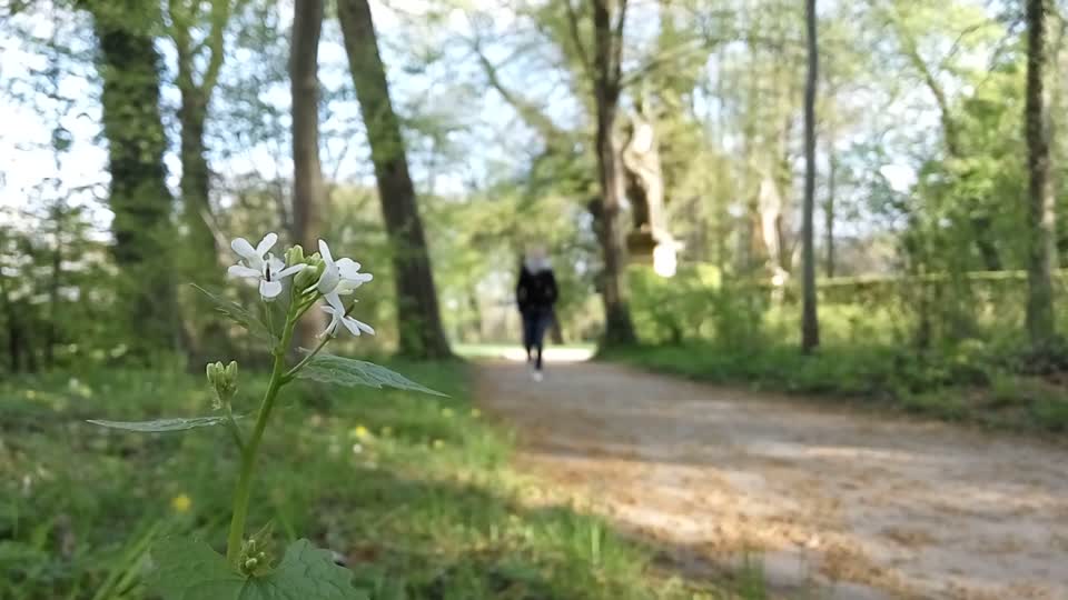 Park to stroll woman