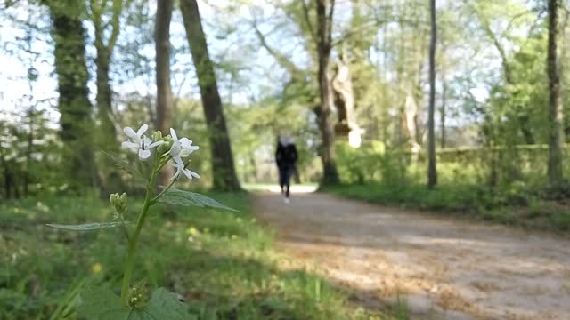 Park to stroll woman