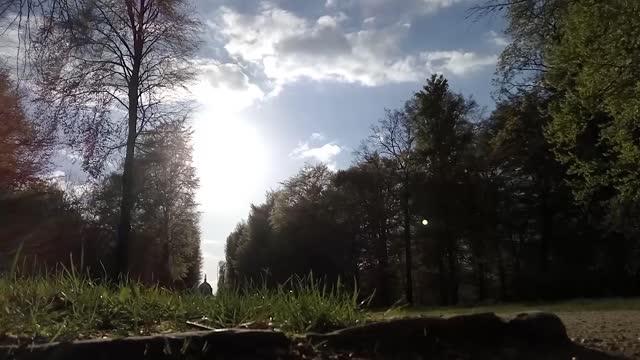 Avenue park potsdam