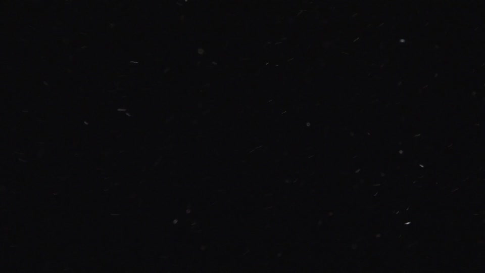 Dust particles snow