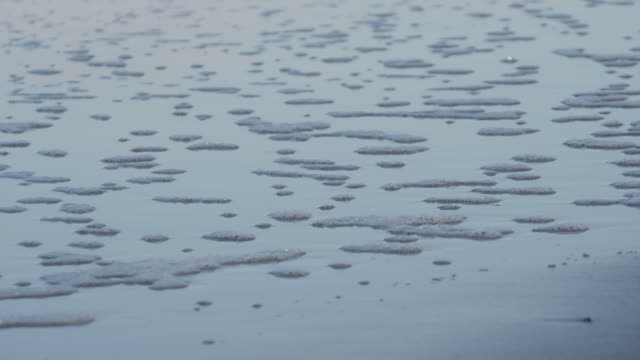 Foam wave shore