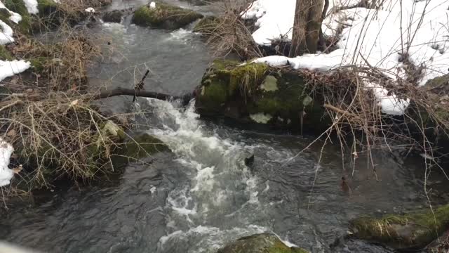 Stream winter water