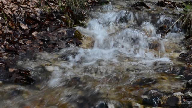 Water stream landscape