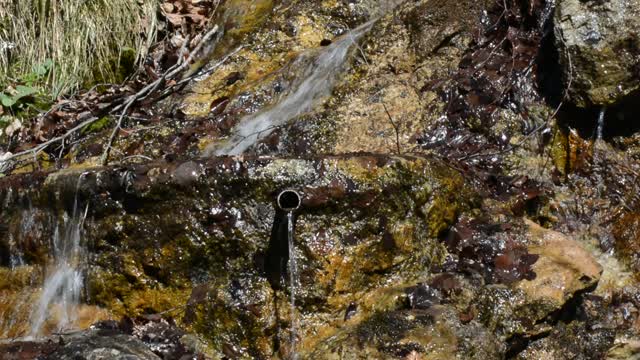 Water fontana spring