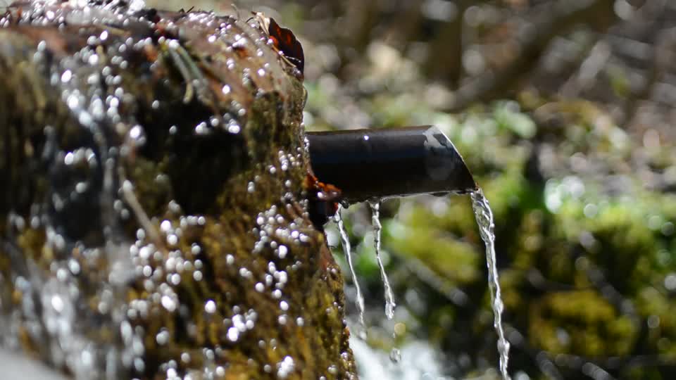 Water fontana spring