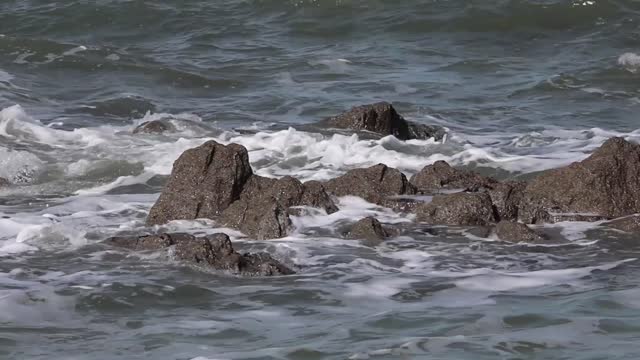Sea waves rocks