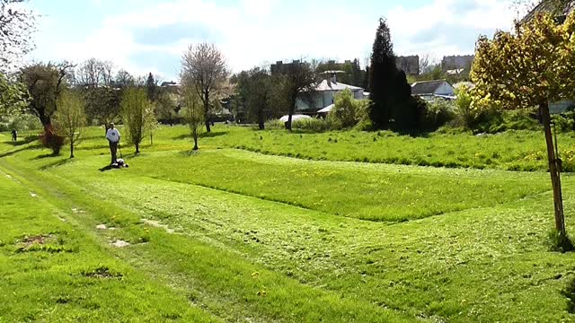 Lawn lawnmower mowing the lawn
