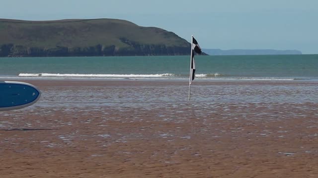 Surfing surfboards paddle boarding