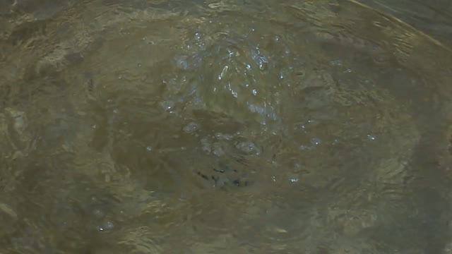 Water fountain source