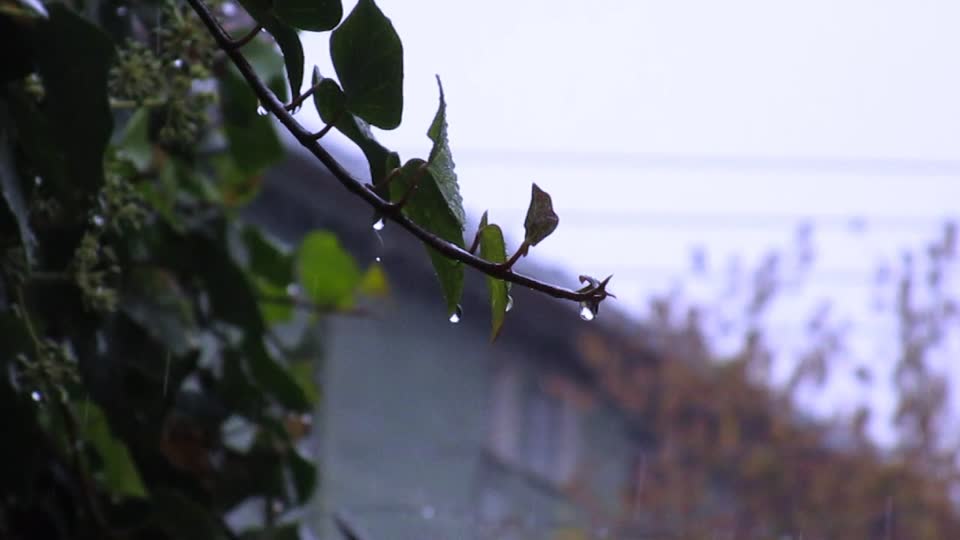 Rain cloudy clouds