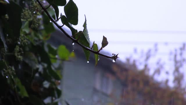 Rain cloudy clouds