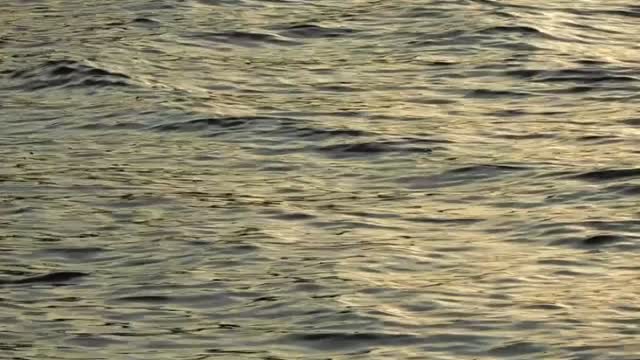 Water waves river