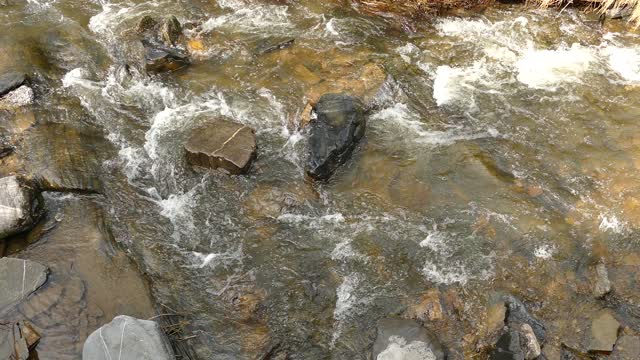 Stream river water