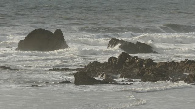 Cornwall coast surfing