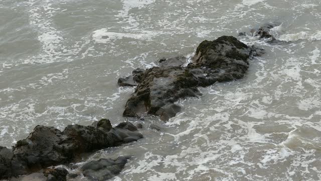 Coast surf beach