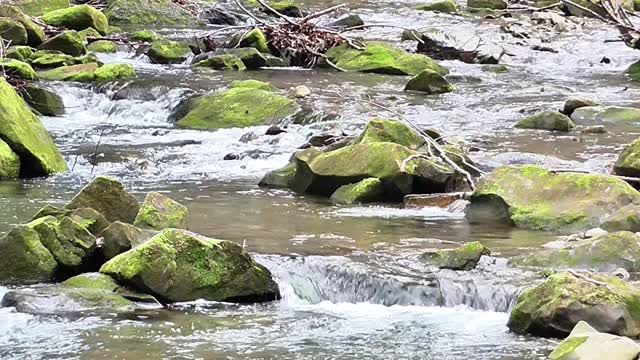 Stream brook river