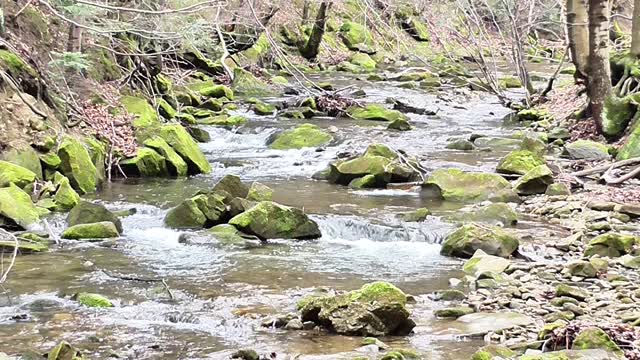 River cascade water
