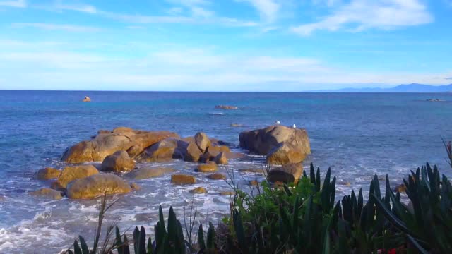 Corsican nature island beauty