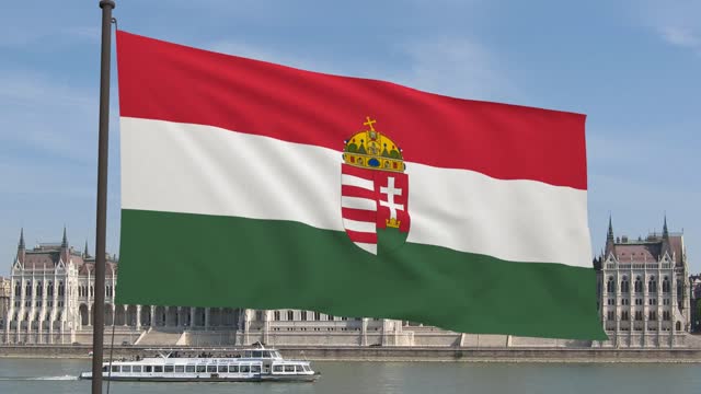 Hungarian flag hungarian flag