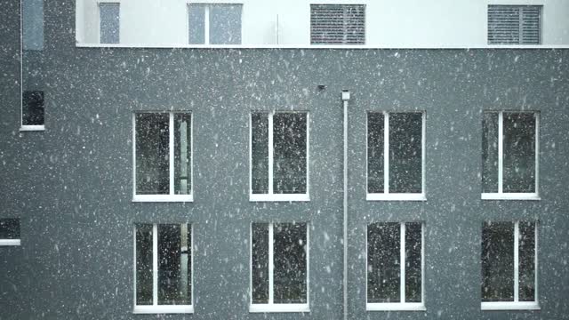 Snow snowfall snowflakes