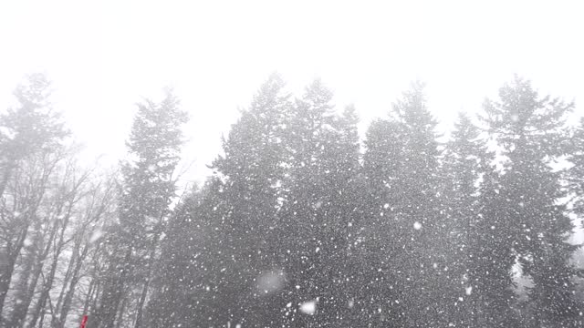 Snowfall snow snowflakes