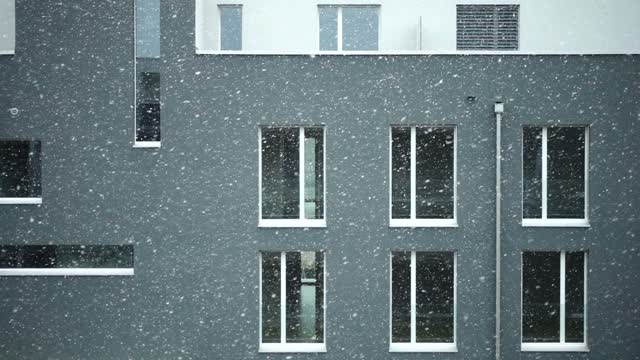 Snow windy blow