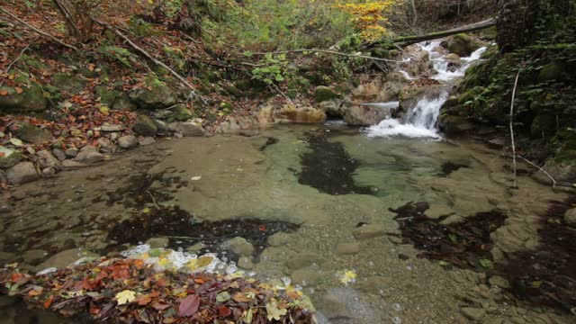 Pond water pool