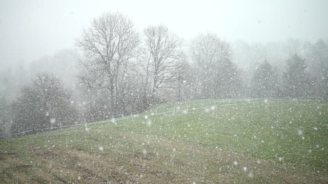 Snowfall snow snowflakes